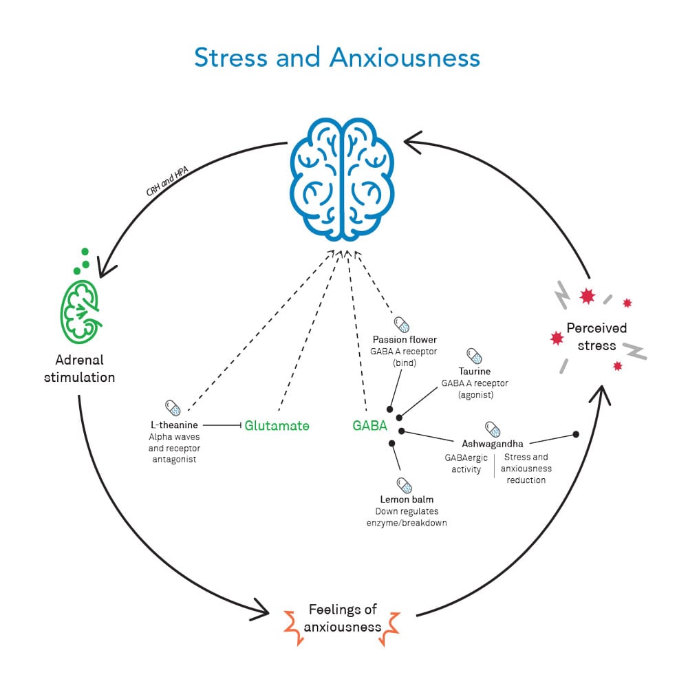 Stress and axiousness