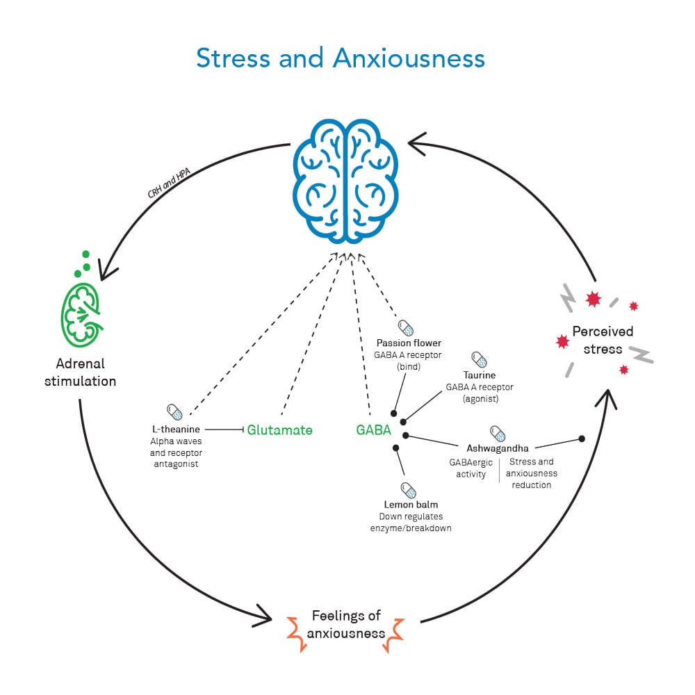 Stress and axiousness