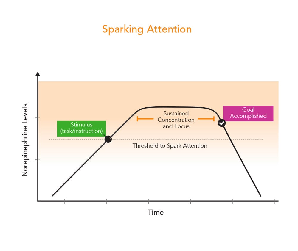 Sparking attention